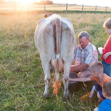Agroturystyka Lolkowo Srokowo Экстерьер фото