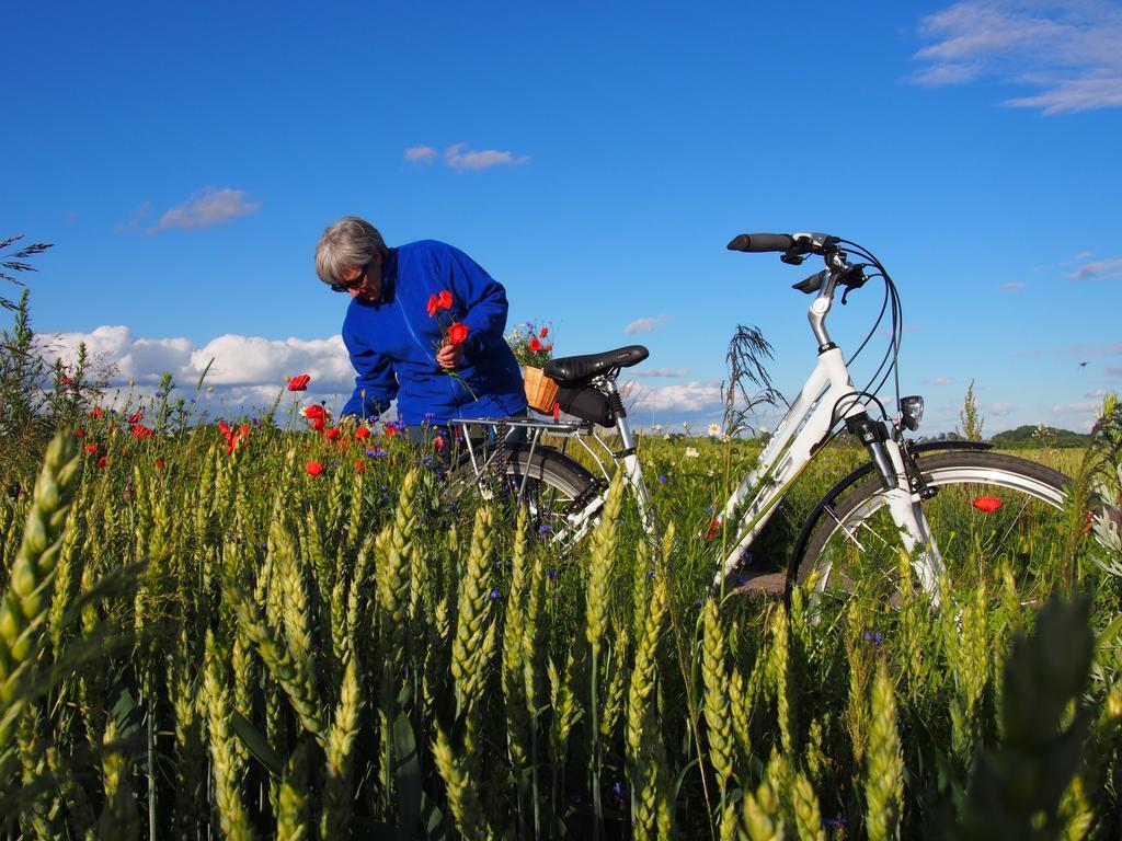 Agroturystyka Lolkowo Srokowo Экстерьер фото